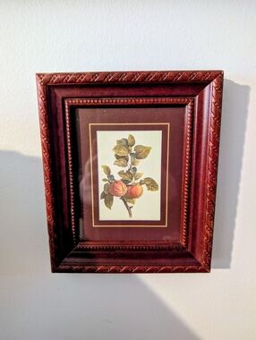 Dark Wood Picture Frame with Botanical Apple Print